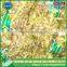 High quality China bulk fresh ginger
