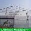 China factory direct sale multi-span uv poly greenhouse