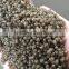 DAP fertilizer 18-46-0 Yellow color brown color 2-4mm in agricultural use