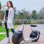 harley scooter with 1000w motor seev