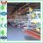 A Line/five Lays/smaill Chicken Cages