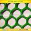 Manufacturer breed hard hexagonal plastic net