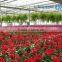 Flower And Vegetable Growing Greenhouse