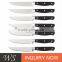 Plastic Handle Stainless Steel Steak Knife