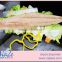 High Quality Seafood Product Natural Fillet Frozen Mahi Mahi Fillets