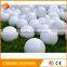 Wholesale colorful Two Pieces Ball golf ball