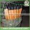 varnish coated wooden broom handle