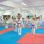 Professional EVA Taekwondo Training mat Interlocking Floor puzzle Mats