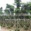 Ficus Altissima nursery in ground