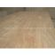 sell white birch plywood