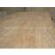 Sell White Birch Plywood