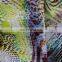Reactive Dyed Rayon Fabric for Ladies Dress