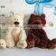 Genuine Child Plush Toy Doll Birthday Gift Teddy Bear Size couple pair