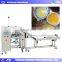 Factory Price Automatic egg protein and yolk separating machine/ Chicken Eggs Knocking Machine/ duck egg white yolk separator