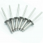 DIN7337 Pop Rivet Stainless Steel A2/A2 Blind Rivet SS304 Blind Rivet