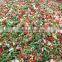 IQF frozen mixd vegetable