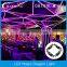 Professional Video LED Stage Wall for Club, Exhibition, Wedding, Rental