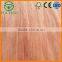 rotary cut African mahogany veneer/okoume core wood veneer