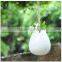 Modern white small ceramic flower pot with rope