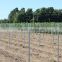 galvanized metal vineyard trellis post