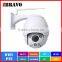 WIFI POE Camera 1.0MP 1.3MP 2.0MP Wireless Mini PTZ Dome Camera Pan/Tilt/Zoom support Alarm,SD Card,Audio