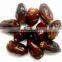 Semi Dried Unpitted Dates Sweet Healthy GMO-FREE Dates by GNS PAKISTAN