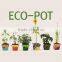 Specialized boxes for gifts DIY mini bonsai promotional gifts for teenagers , corporate anniversary gifts