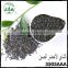Factory Price Inclusion-Free No Pollution Gunpowder Tea 3505Aaa