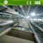 High quality cages for growing broiler/poultry cage/broiler battery cage