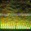 LIGHT EFFECTS FOR HOME WALL WASHER SOUND ACTIVATED BAR RGBW