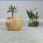 Hotsale China Fashion Pottery Flower Pot