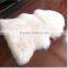 Sheepskin Rug