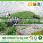 3% UV Fabric Spunbond Nonwoven Fabric for Agricultural Nonwoven Fabric