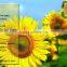 Water Soluble Bio Fulvic Acid 80% Fertilizer