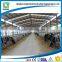 light steel structure cattle shed
