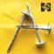 High harden steel galvanized roofing nails umbrella