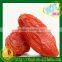 Organic Dried Goji Berry Wolfberry