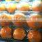 4 Compartment Plastic Compartment Boxes Food Packaging Containers Clear Plastic Paking Box