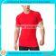 Hot sale wholesale plain fitness custom t shirt for men