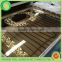 304 201 Mirror Etched Titanium Stainless Steel Sheet for Elevator