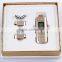 Galvanic electroporation facial massage beauty quipment