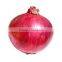 Fresh red onion wholesaler
