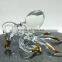Crystal Octopus / Squid Hand Blown Clear Glass Art Gold Trim Figurines Home Decor / Sea Ocean animals Collection / Gift