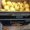 Citrus Fruit Product Type and Lemon Type Fruits