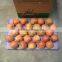 China Unbagged Fuji Apple