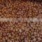 GROUNDNUT KERNEL JAVA 50/60
