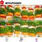 IQF frozen vegetable skewer China best price
