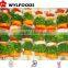 IQF frozen vegetables skewer 2015 china handmake