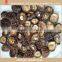 dried shiitake mushroom