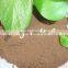High Quality Humic Acid Fulvic Acid In Agriculture